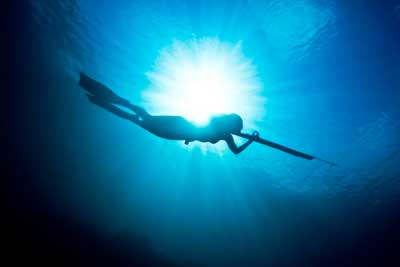 Spearfishing Guides Spearfishing Uk