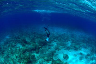 Spearfishing techniques