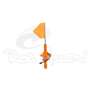 Rob Allen chicken float
