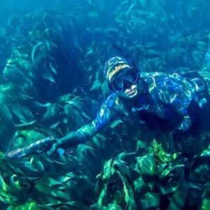 Spearfishing courses