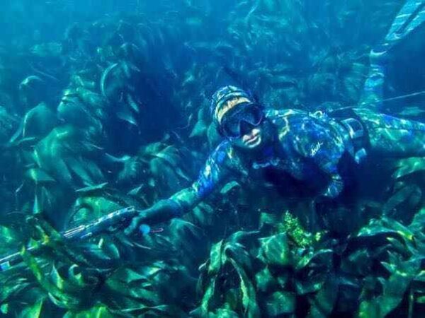 Spearfishing courses