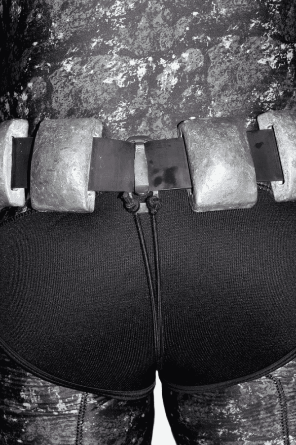 Picasso Belt Immobilizer - Image 2
