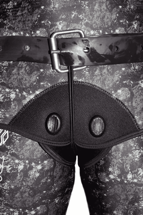 Picasso Belt Immobilizer - Image 3
