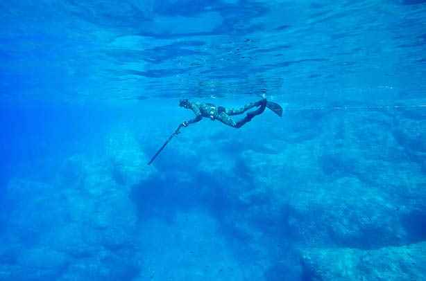Freediving Courses