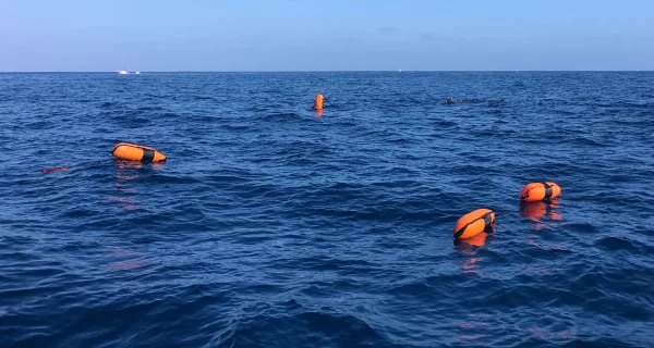 Riffe Torpedo Pro Dive Float 20L - Image 5