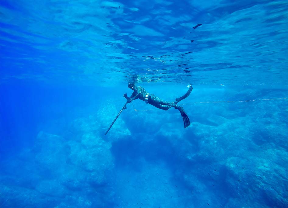 Freediving courses