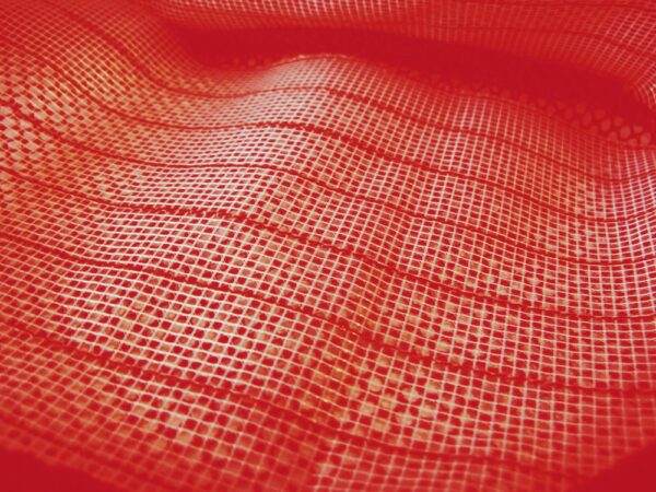 Epsealon Red Net Bag - Image 3