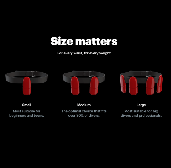 Lobster weight belt - Image 5