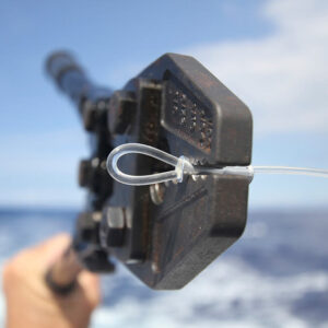 Gun Rigging service- Single Wrapped Mono with bungee