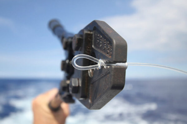 Gun Rigging service- Single Wrapped Mono with bungee