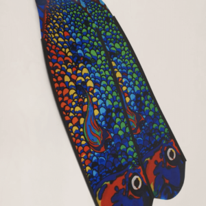 DiveR Parrot Fish Spearfishing Fins