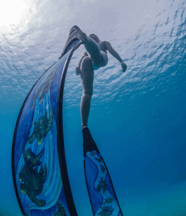 DiveR Rainbow Turtle Spearfishing Fins - Image 2