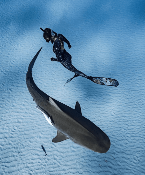DiveR Sharks Spearfishing Fins - Image 3