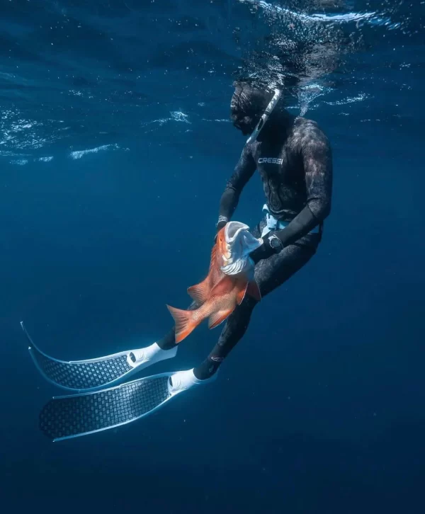 DiveR Grey Innegra V2 Spearfishing Fins - Image 2