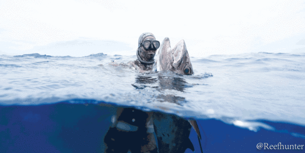 Riffe Nekton Mask - Image 4