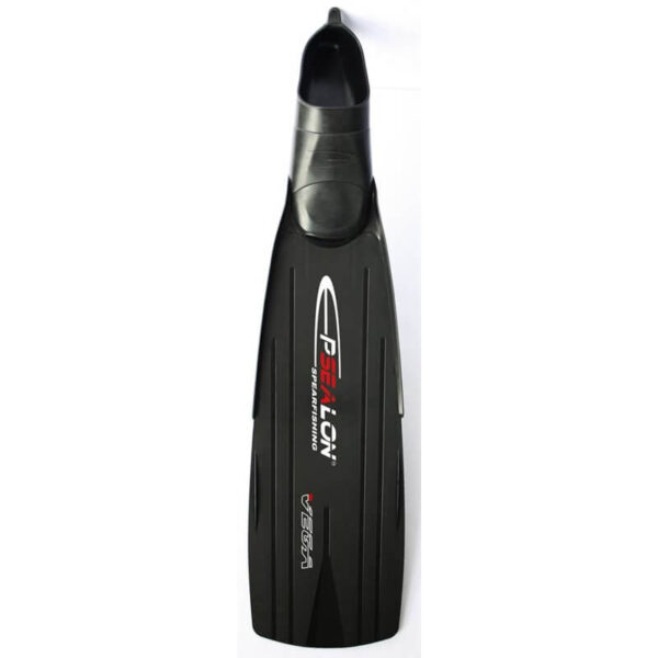The Surfer Package - Image 2