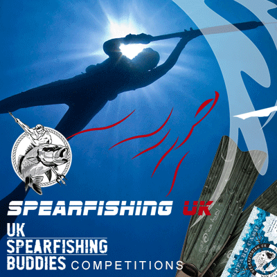 Spearfishing competitions