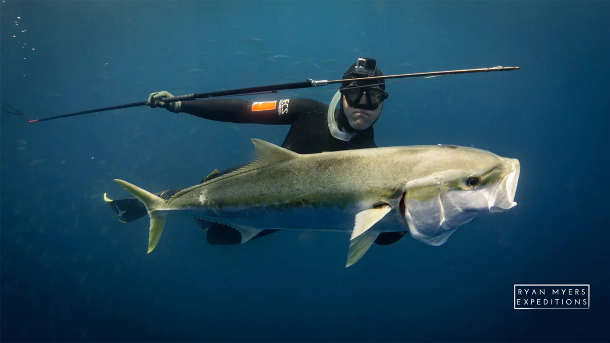 HeadHunter Nomad Polespear - Spearfishing UK