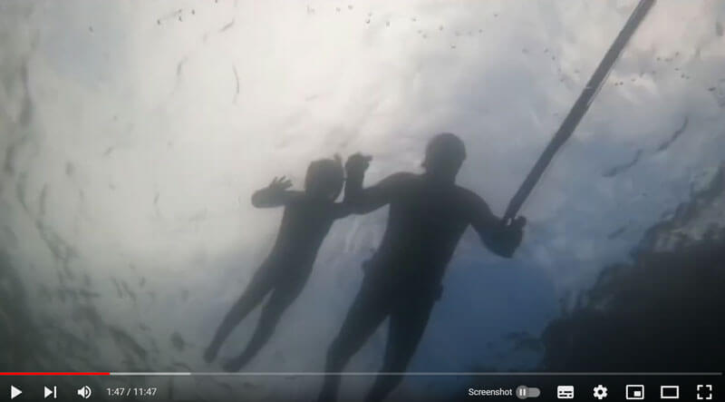 Video screenshot