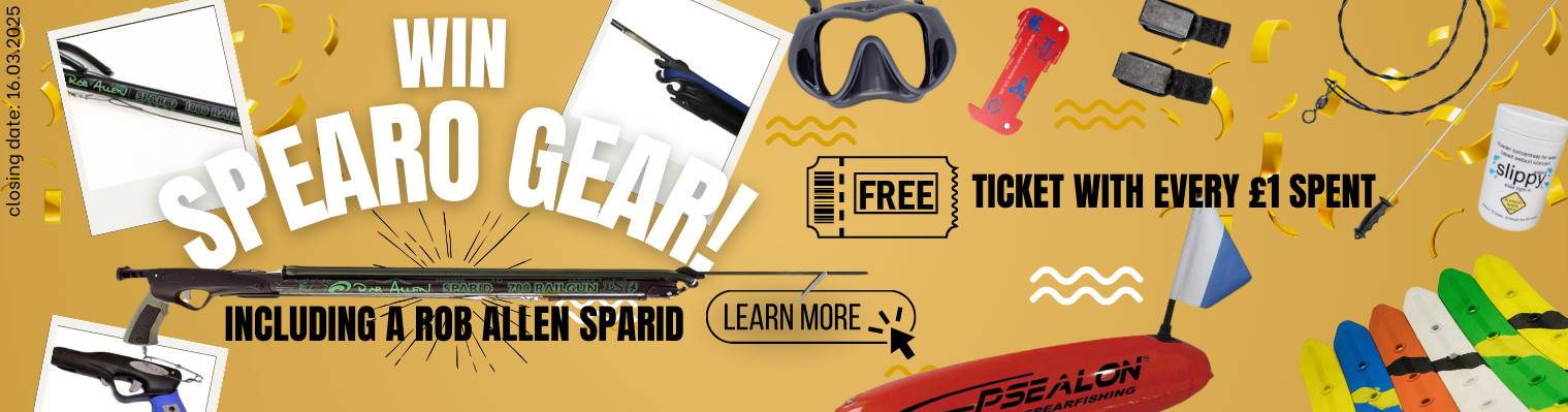 Win spearfishing gear including a ROB ALLEN SPARID
