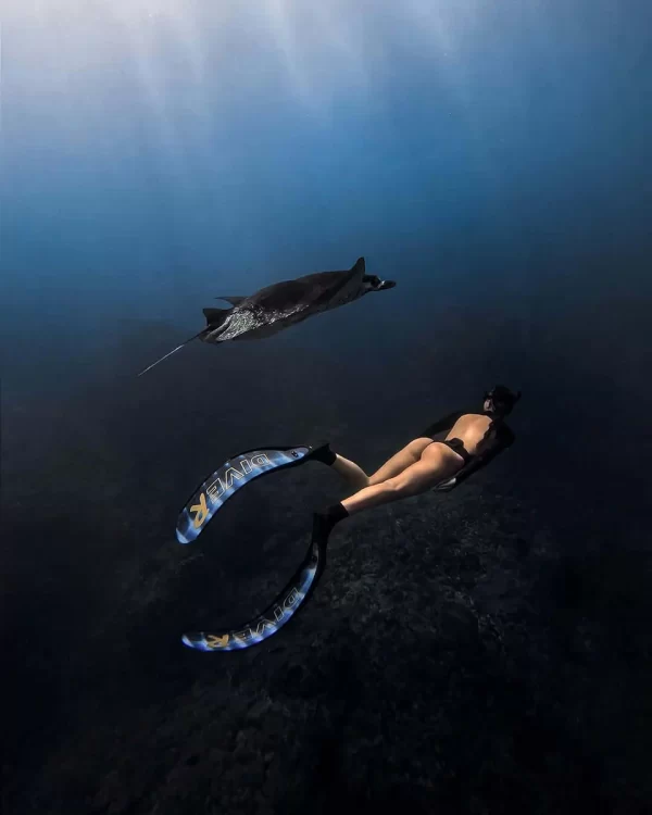 DiveR Stripe Marlin Spearfishing Fins - Image 2
