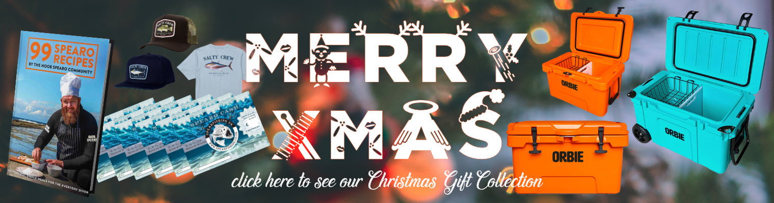 Spearfishing gear Christmas