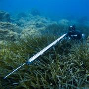 Pathos Laser EVO Carbon Speargun - Image 7