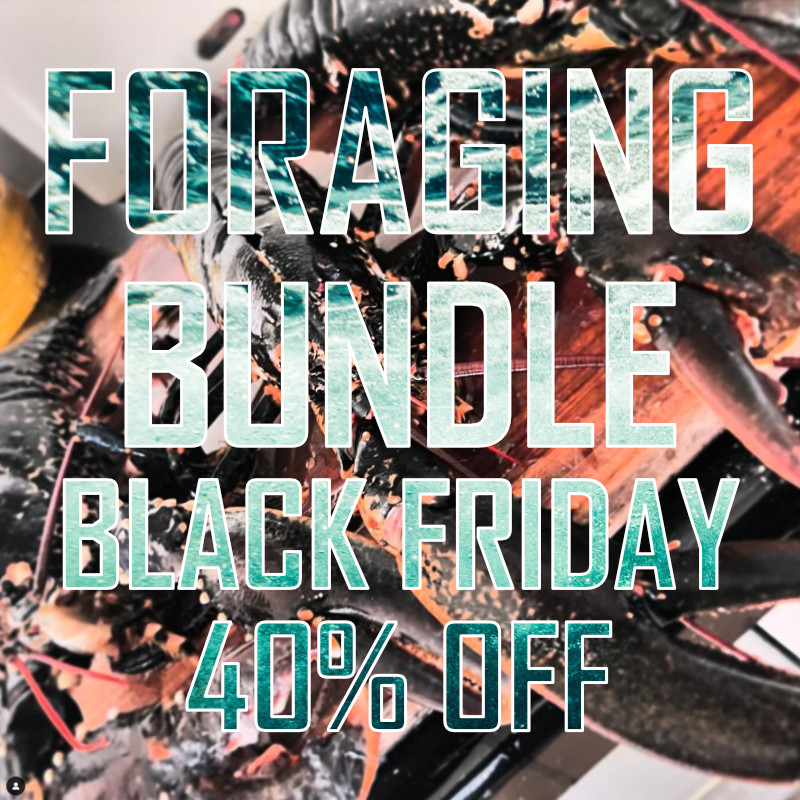 Foraging Bundle - Image 19