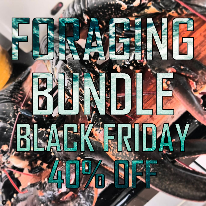 Foraging Bundle - Image 18