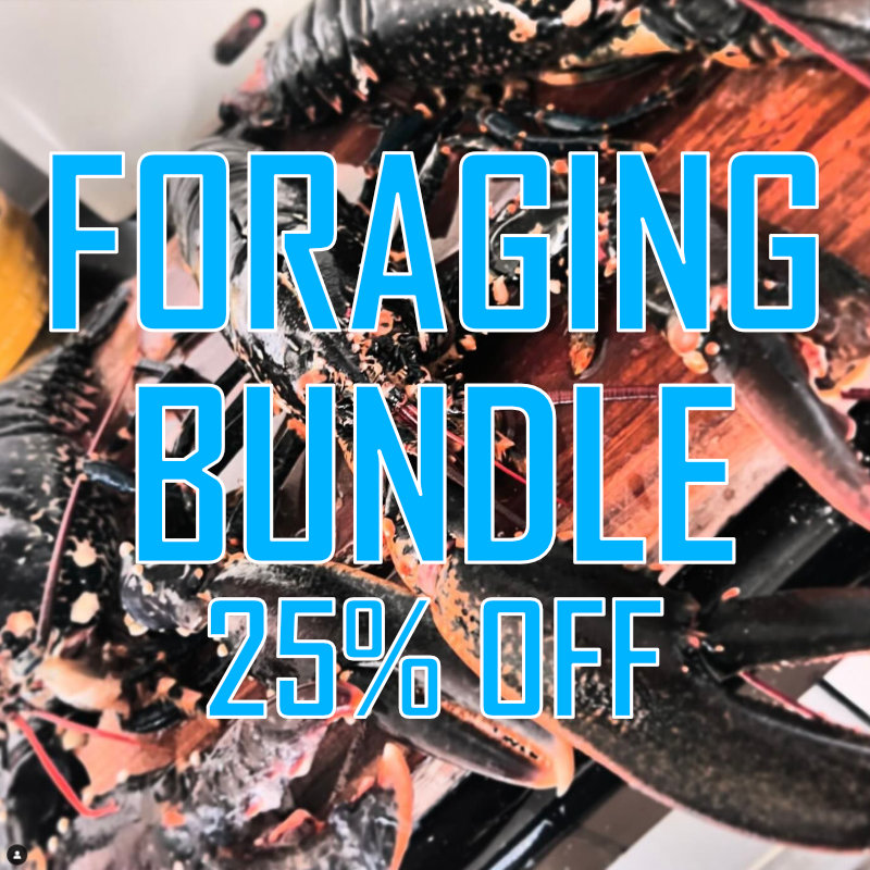 Foraging Bundle - Image 22