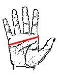 Moray Amara Glove - Image 3