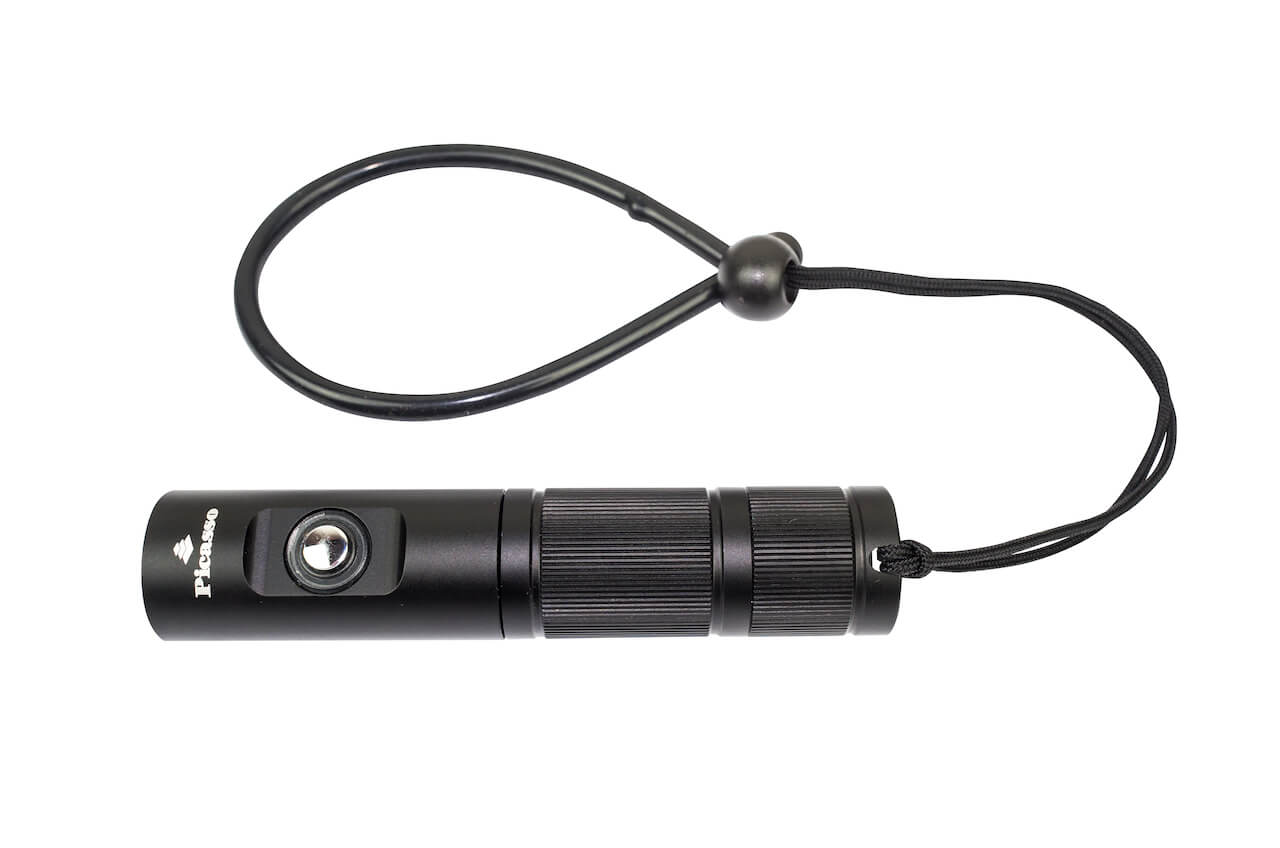 Picasso Micro LED Rechargeable Torch