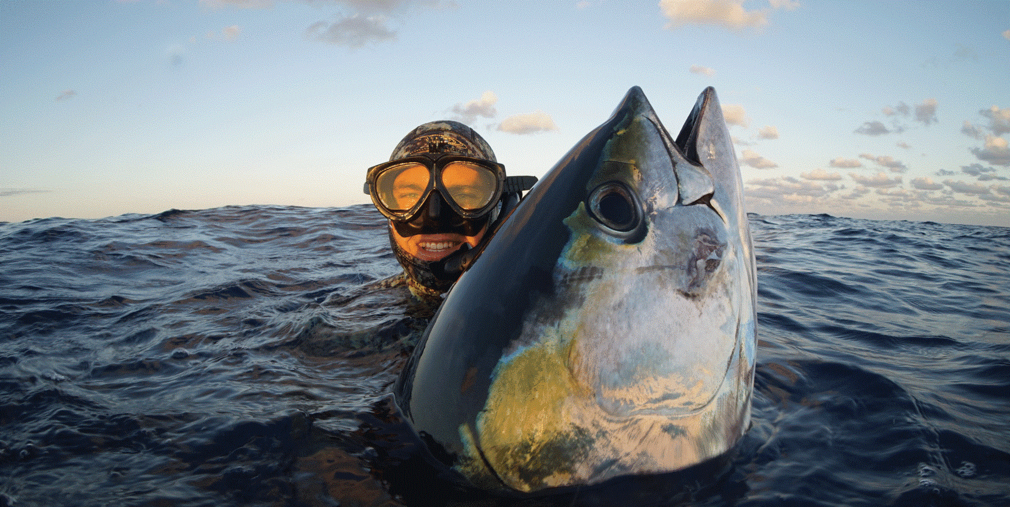 Riffe Blue Water Elite Speargun - Image 11