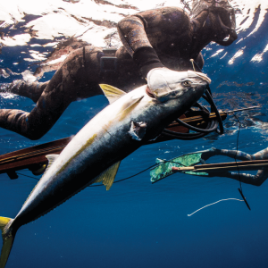 Riffe Island Elite speargun in water