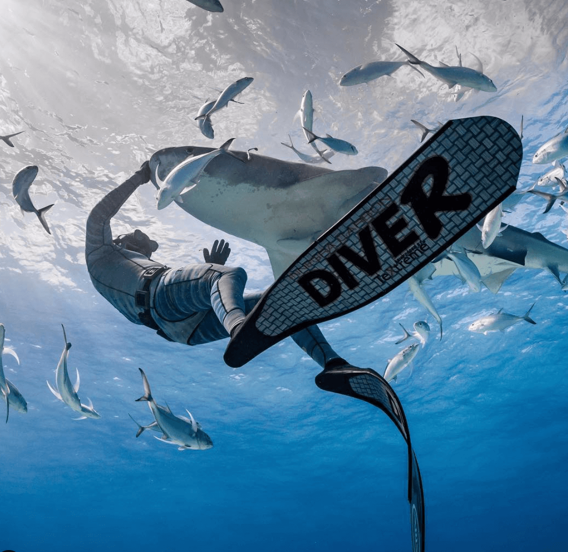 DiveR Grey Innegra V2 Spearfishing Fins - Image 8