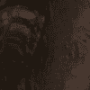 Thermoskin Dark