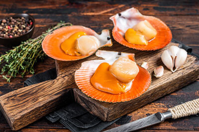 Foraged scallops