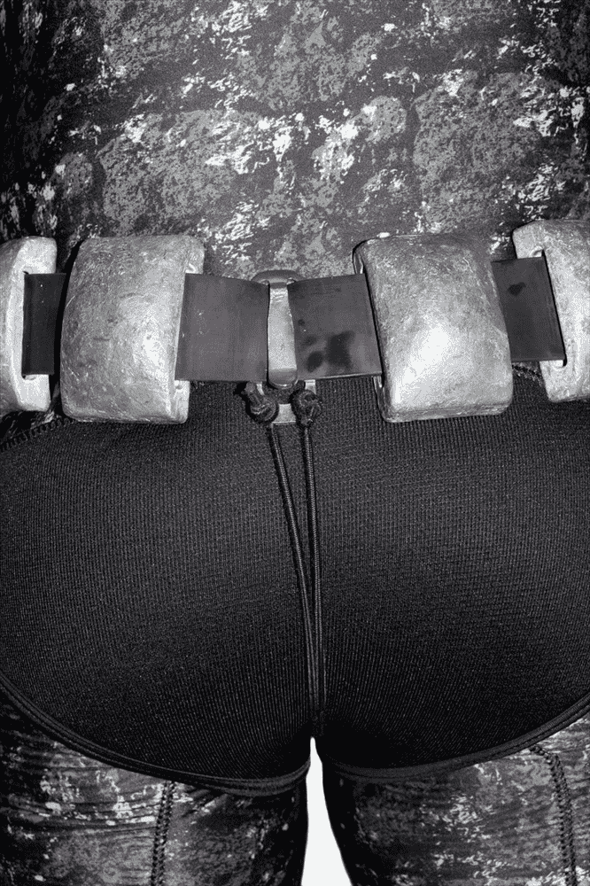 Picasso Belt Immobilizer - Image 2