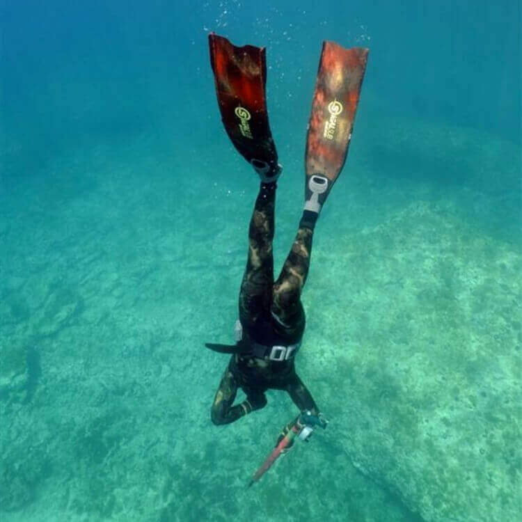 Sigalsub Sigal Deep Blades - Image 2