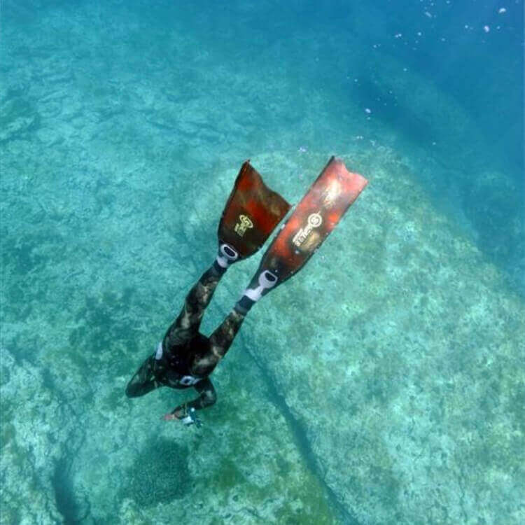 Sigalsub Sigal Deep Blades - Image 5