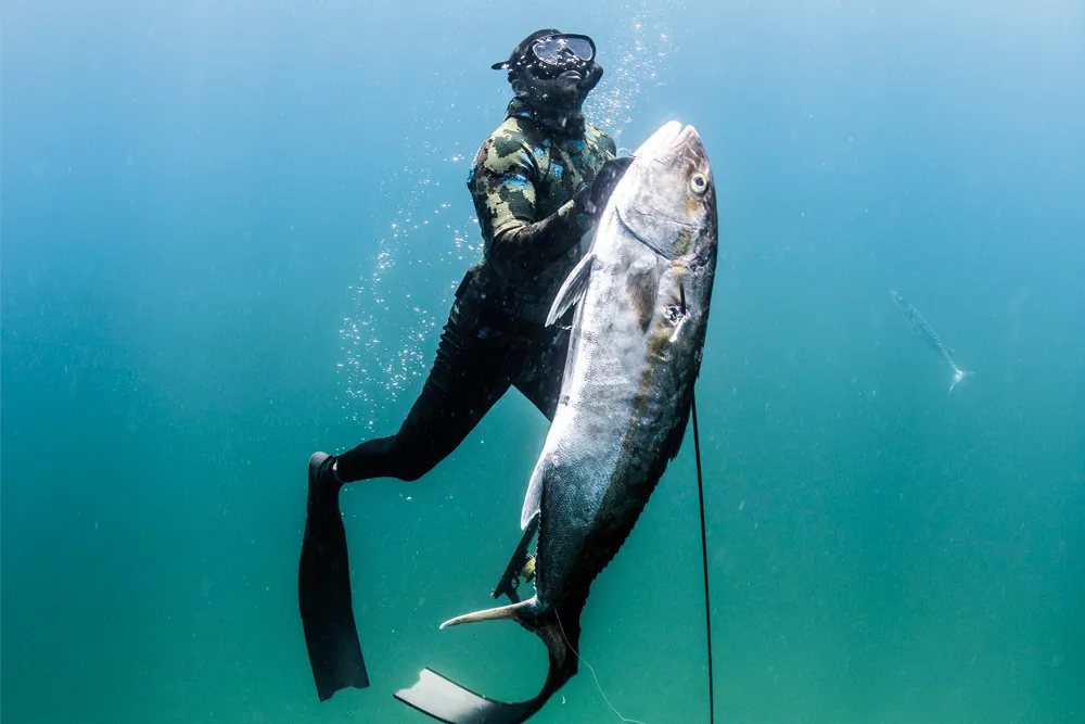 Spearfishing wetsuits